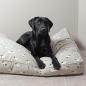 Mobile Preview: Sophie Allport Pet Bed Mattress Sheep