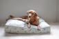 Preview: Sophie Allport Pet Bed Mattress Pheasant Preview: Sophie Allport Pet Bed Mattress Pheasant