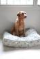 Preview: Sophie Allport Pet Bed Mattress Pheasant Preview: Sophie Allport Pet Bed Mattress Pheasant