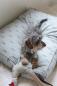Mobile Preview: Sophie Allport Medium Pet Bed Mattress, Highland Stag