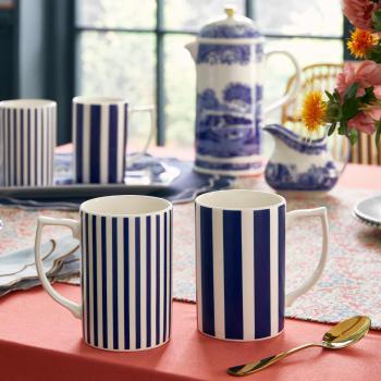 Preview: Spode Steccato