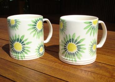 Aston Pottery Spring Daisy Mug, Pair