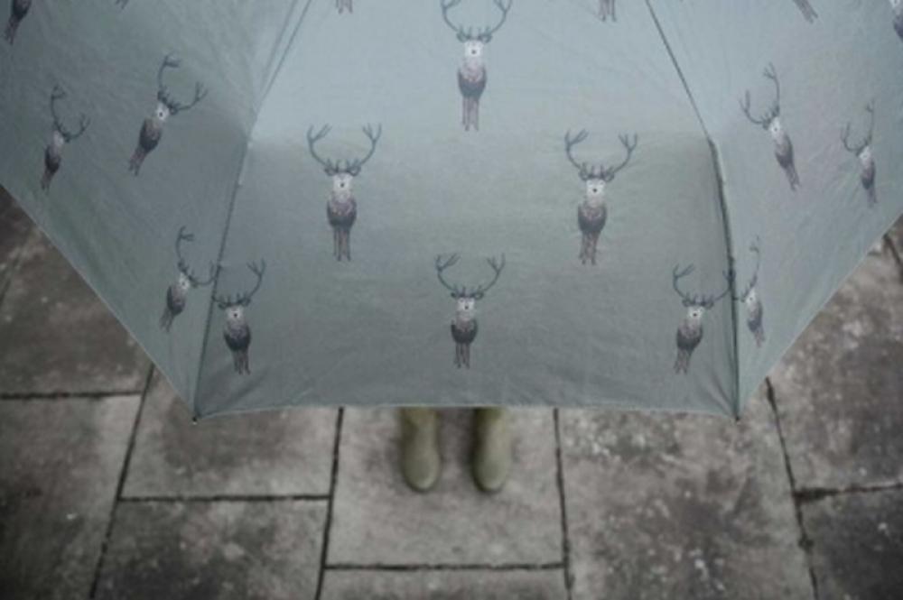 Sophie Allport Umbrella, Highland Stag